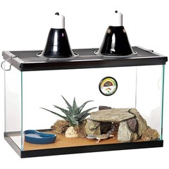 Zilla Terrarium Starter Set for Desert Animals