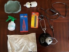 Lot of Reptile supplies