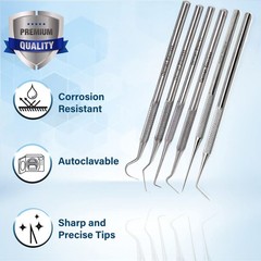 6-Piece Stainless Steel Precision Probe Set: Straight, Single, Shor… Fast Ship