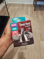Arcadia Reptile Deep Heat Projector Bulb E27/E26 80W NEW & UNOPENED