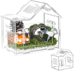 Jumping Spider Enclosure for Small Species, Acrylic Reptile Terrarium Habitat