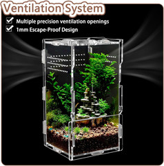 8x4x4in Vertical Acrylic Jumping Spider Enclosure – Arboreal Tarantula & Reptile