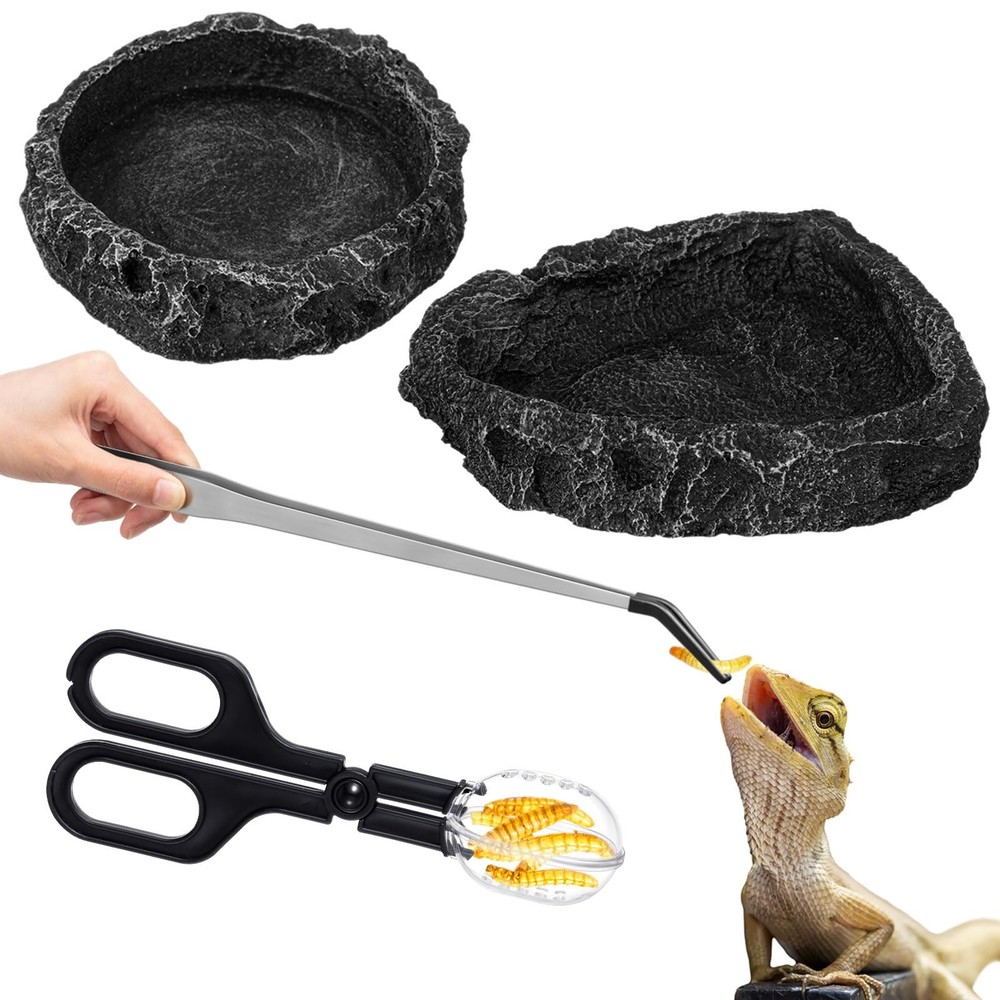 Jingmore 4 Pcs Bearded Dragon Food Bowl Set Reptile as shown in the picture