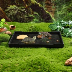 1Pc Reptile Water Bowl Black Durable Solid Material Smooth Surface Feeding Dish