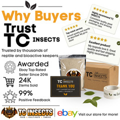 150 Young Superworm Beetles Mixed Male Female Zophobas morio Live Breeders