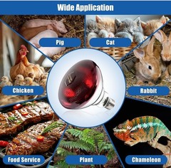 250W Heat Lamp Bulbs 1 Pack Infrared Heat Lamp for Chickens with E26 Socket a…