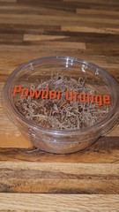 Powder Orange Isopods 25-Count Porcellionides Pruinosus Bioactive Feeder Insect