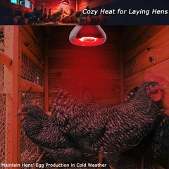 2.5″ 60W Compact Red Infrared Heat Lamp Bulb Basking Spot Light for Reptiles