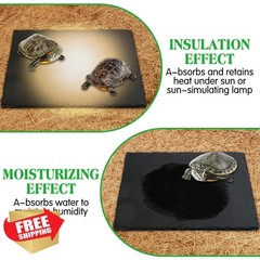 Tfwadmx Tortoise Feeding Dish 12″x6″
