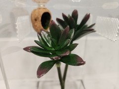 Zilla Micro Habitat Terrarium, Arboreal, with Locking Latch