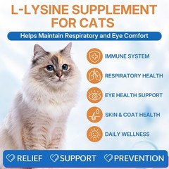 WEALLIN L-lysine Supplement for Cats, Immune Support 1PC, Brown