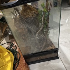 Glass Reptile Terrarium with Branches, Moss, and Bark Natural Decor
