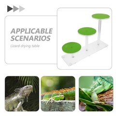 Lizard Terrarium Accessory with Turtle Basking Dock and Versatile Climbing Space