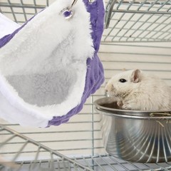 7.9×7.9Inch Guinea Pig Hammock, Rat Hammock & Ferret Hammock for Cage – Small…