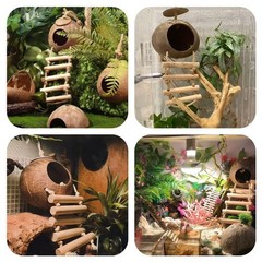 10PCS Crested Gecko Tank , Reptile Plants Bridge Vines, Coconut Shell with La…
