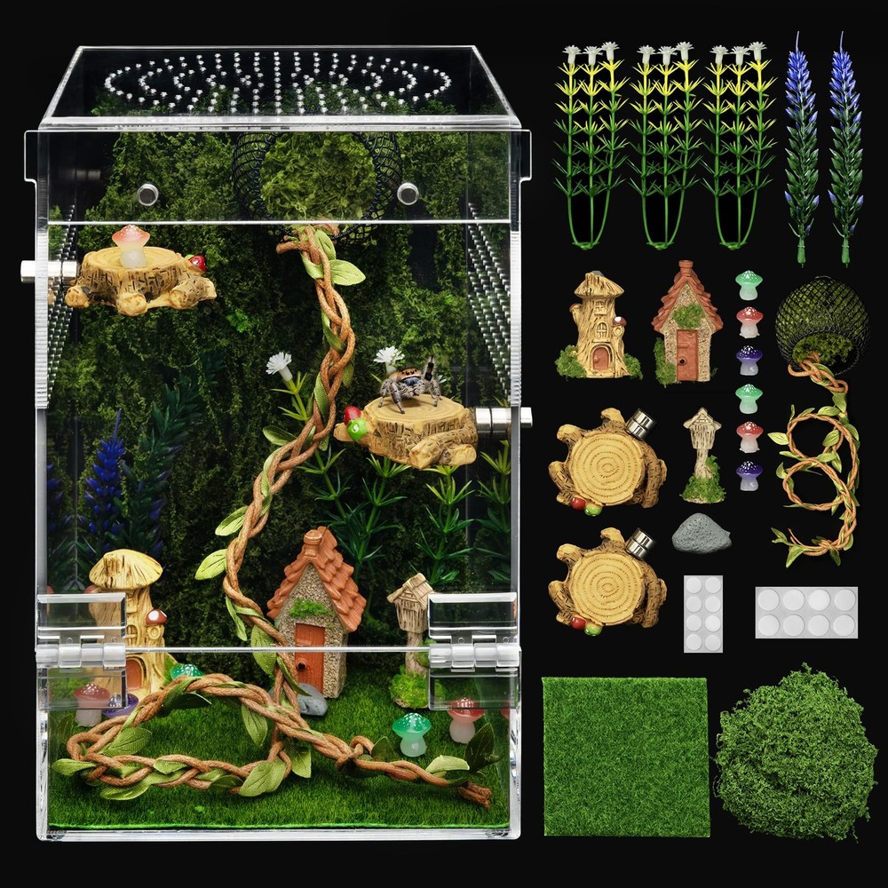 Jumping Spider Enclosure Starter Kit,Escape Proof Forest Terrarium