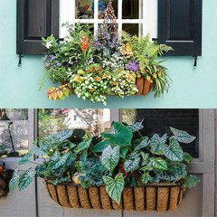 LAVEVE 30 Inches Trough Coco Liner Replacement for Plant Hanging Basket, 2 Pc…