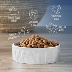 Park Life Designs Pet Bowl | Classic Water (Small, White) Small