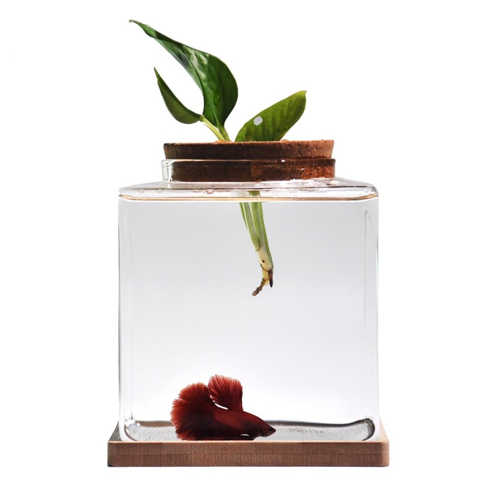 Desktop Betta Fish Tank with Wood Lid and Bamboo Stand Small Fish Bowl Glass …