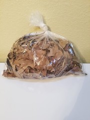 1 Gal Oak-Maple-Hickory Mixed Leaves Leaf Litter Isopods Reptile Frog Terrarium