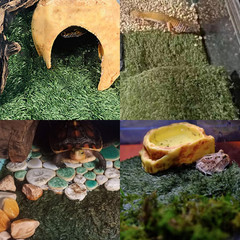 2pcs Reptile Carpet Terrarium Liner Tortoise Bedding Reptile Substrate Liner Mat