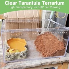 Reptile Terrarium Enclosure 8″x6″x4″ Acrylic Tarantula Breeding Box Magnetic