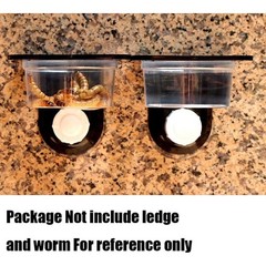 Feeding Cups for Crested Geckos Reptile Food and Water Bowls Small Pet Dish