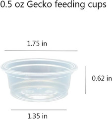 100 Pcs Small Gecko and Water Cups Plastic Reptile Feeding Bowls Ledge Accessor