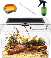 Mini Reptile Terrarium,12″ X7″X 9″Reptile Tank with Full View Visually Appealing