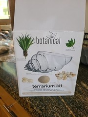 Terrarium Kit with Sand, Sea Shells, and Faux Succulents