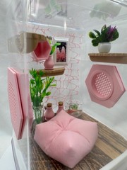 Jumping Spider Terrarium – Customizable Pink Paradise Enclosure