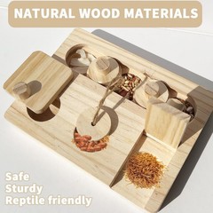 Bearded Dragon Feeder Puzzle, Wooden Lizard Feeding , Reptile Interactive Enr…