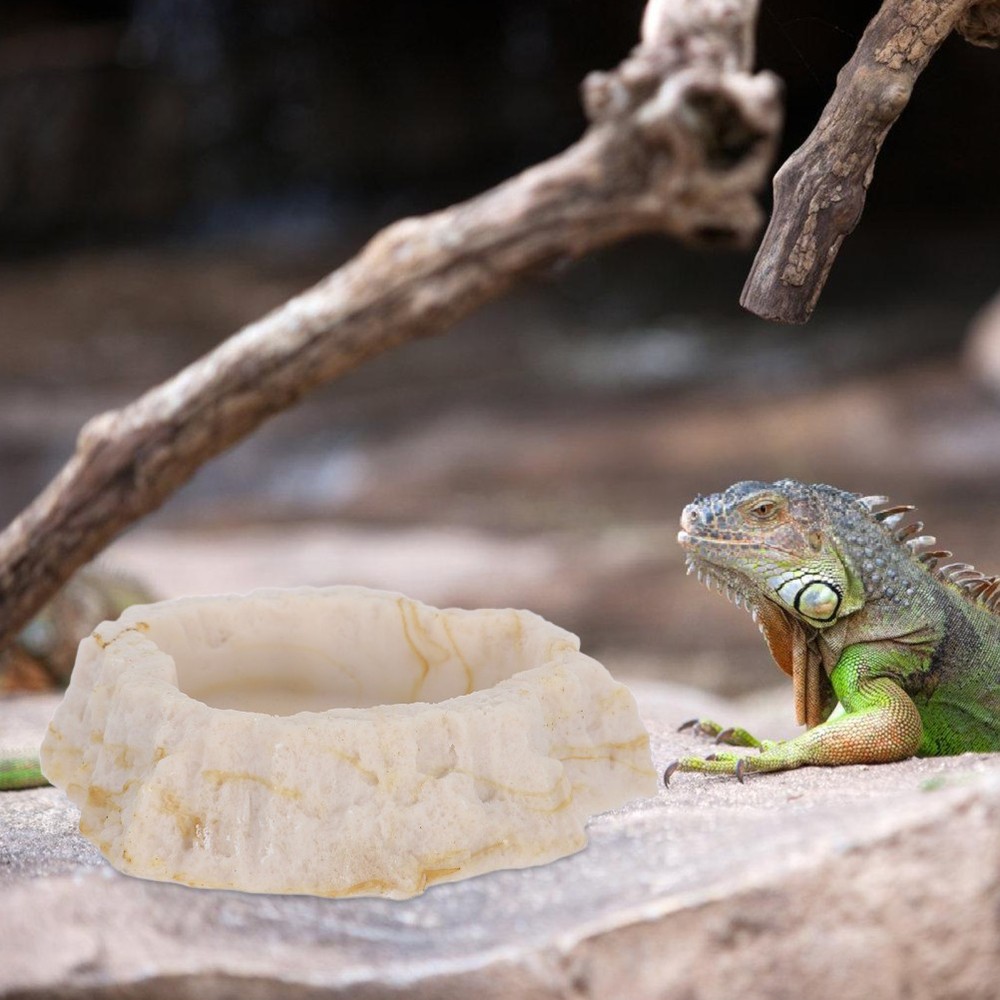Anti Escape Feeding Bowl Chameleon Dish Bearded Dragon Accessories