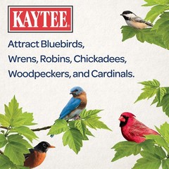 Kaytee Wild Bird Food Mealworms For Bluebirds, Wrens, 2 Pound (Pack of 1)