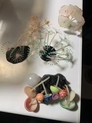 20 gallon terrarium with accessories
