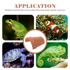 Reptile Hideout Cave for Turtles Frogs Lizards Natural Terrarium Ornament