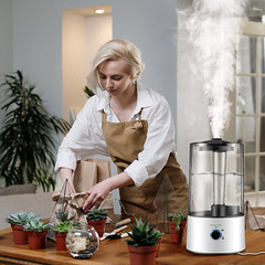 Reptile Humidifier Fogger, 4L Cool Mist Fog Mister with Tube for Tortois