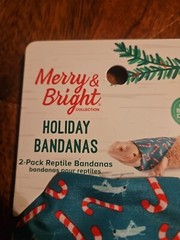 Bearded Dragon Holiday 2-pack bandanas