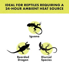 Zilla Incandescent Spot Bulb For Reptiles Night Red Terrarium Heat Light Bulb