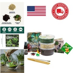 Multicolor Terrarium Starter Kit with Soil Vermiculite and Finishing Tools