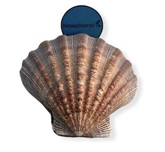 NESSASTORES – Natural Lion Paw Scallop Nautical Dish Beach 6 Pairs, Brown
