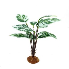 JIHAQUA Reptile Artificial Plants, Terrarium Decorations, Amphibian Habitat H…