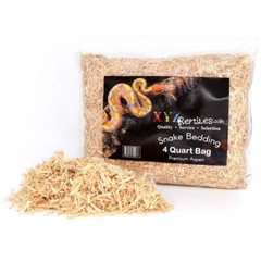 Ball Python Snake Habitat 10 Gallon Terrarium Baby Snake Starter Kit XYZReptiles