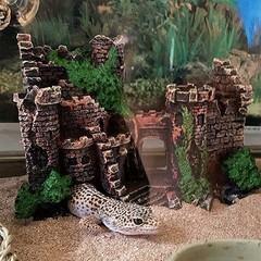 kathson Bearded Dragon Tank Castle Decorations,Reptile Hammock Reptiles…