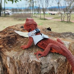 3 Pack Bearded Dragon Harness and Leash Set – Adjustable Soft Leather Lizard …