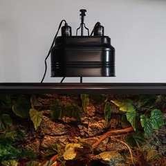 Aiicioo Dual Reptile Light Fixture – Bearded Lamp 160W, Black