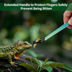 2 Pack Stainless Steel Reptile Feeding Tongs with 10.6 Inch, 10.6″Colorful