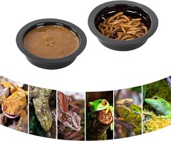 Acrylic Gecko Feeding Ledge – Magnetic Installation with 6 Feeding Cups
