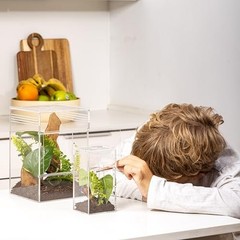 Jumping Spider Enclosure Terrarium Kit Arboreal Tarantula Habitat