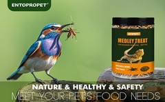 Dried Mealworms and Dried Crickets – Higher in Calcium and Richer in Protein-…